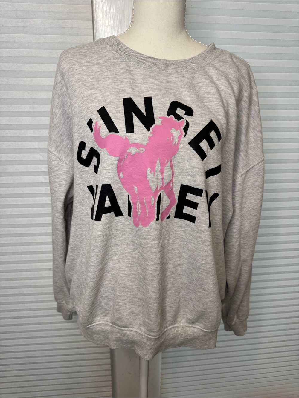 H&M Gray Crewneck Sweatshirt with Pink Sunset Valley Horse Graphic 1378